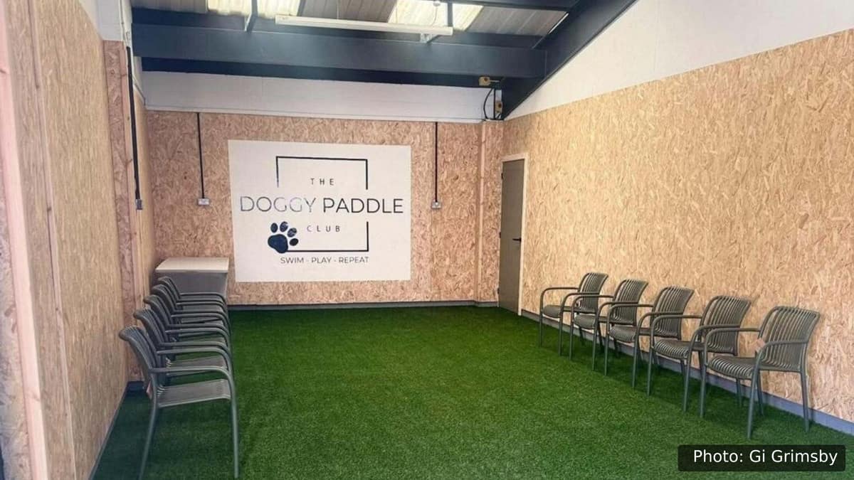 Inside The Doggy Paddle Club on Brigg Road, Barton