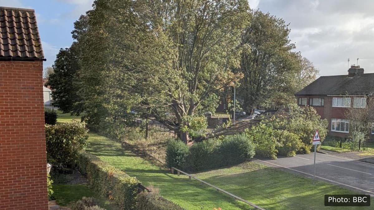 A fallen branch blocking a road in Eastoft, North Lincolnshire, during Storm Boelo